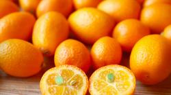 Useful properties of kumquat and its use in different types