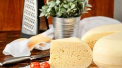 The benefits of cheese for the human body Nutrients in cheese