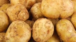 Idaho Potatoes in the Oven