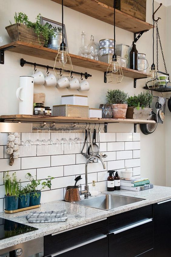 Unpretentious indoor plants for the kitchen.  About the world of plants and country life