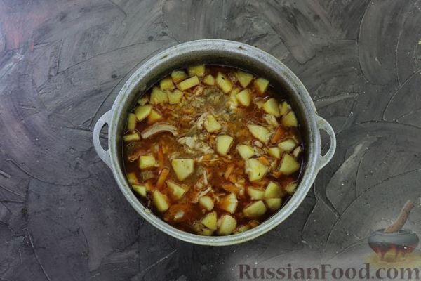 Куриный суп с рисом, яблоками и овощами